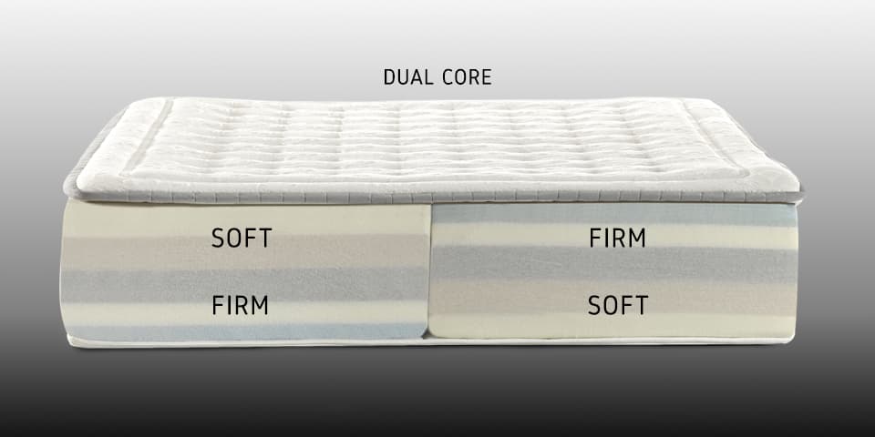 Dual-core.jpg