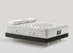 Матрас Magniflex Maestro Dual 14