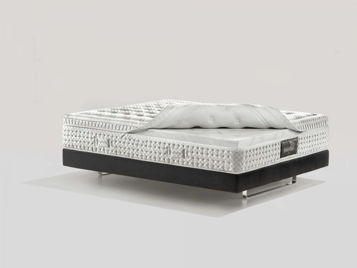 Матрас Magniflex Maestro Dual 14